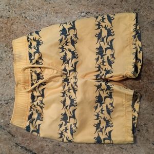 EUC Dinosaur Swim Trunks Bathingsuit 2T